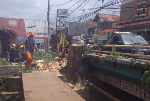penebangan pohon di caman kota bekasi