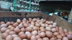 Harga Telor di Pasar Bantar Gebang Kota Bekasi.