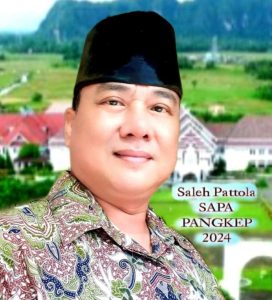 Muhammad Saleh Pattola (Foto: Dok. pribadi)