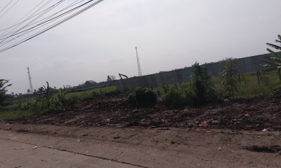 IMG 20250111 151045 714