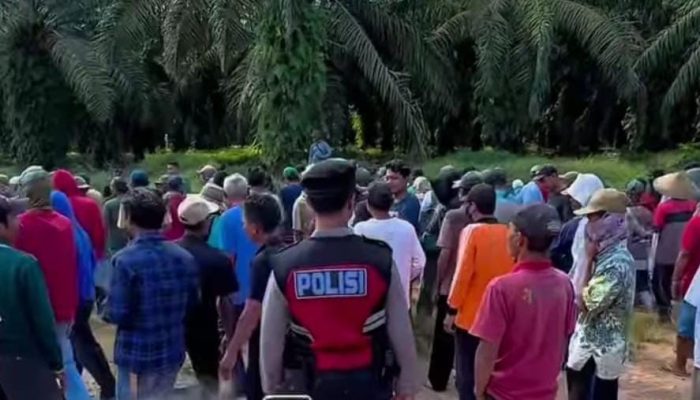 Perusahan PT. PAL Langgar Perjanjian Sewa, Warga Ajukan Gugatan Ke PN Menggala 1 IMG 20250322 WA0056